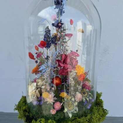 Cúpula flores colores