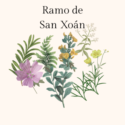 ramo san juan