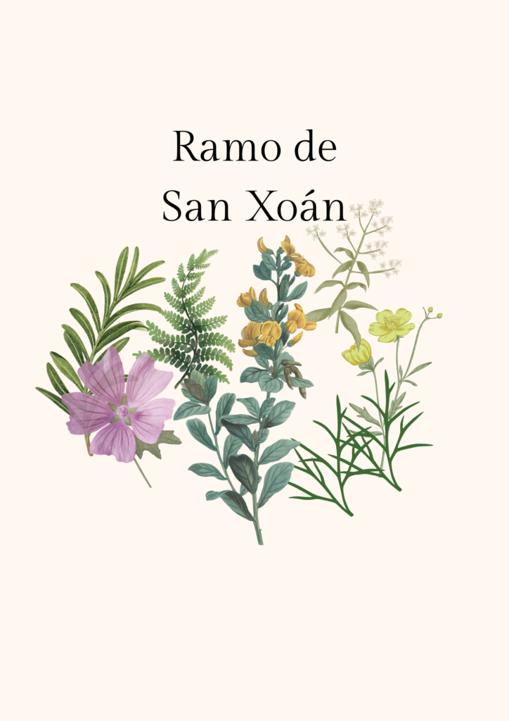 ramo san juan